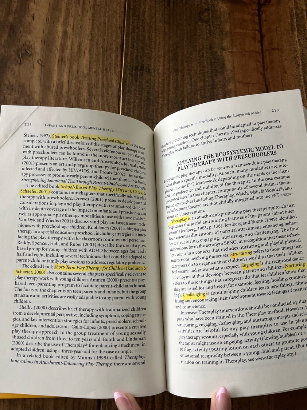 The handbook of Training and Practice Infant And Preschool Mental Health Hard - Picture 10 of 10
